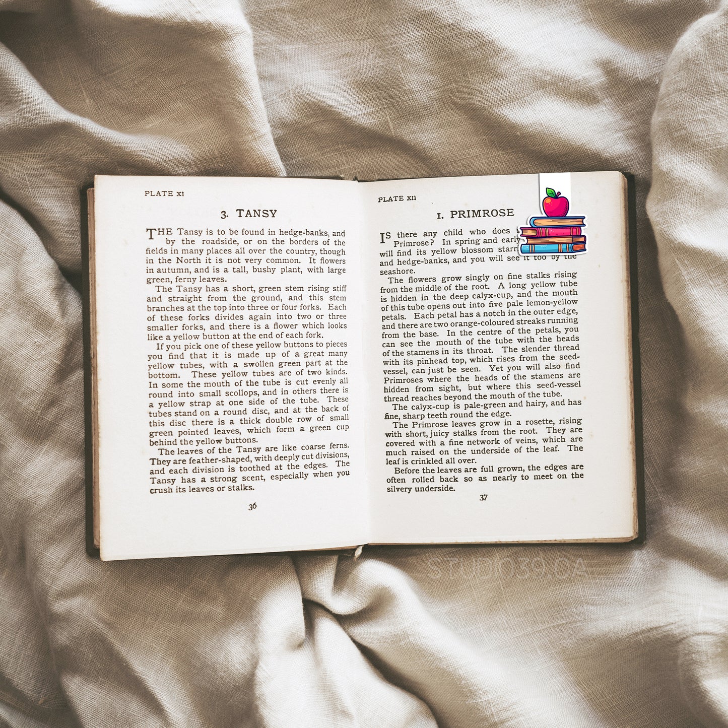 Books and Apple Magnetic Bookmark, Book Lovers Gift, Bookish Gift