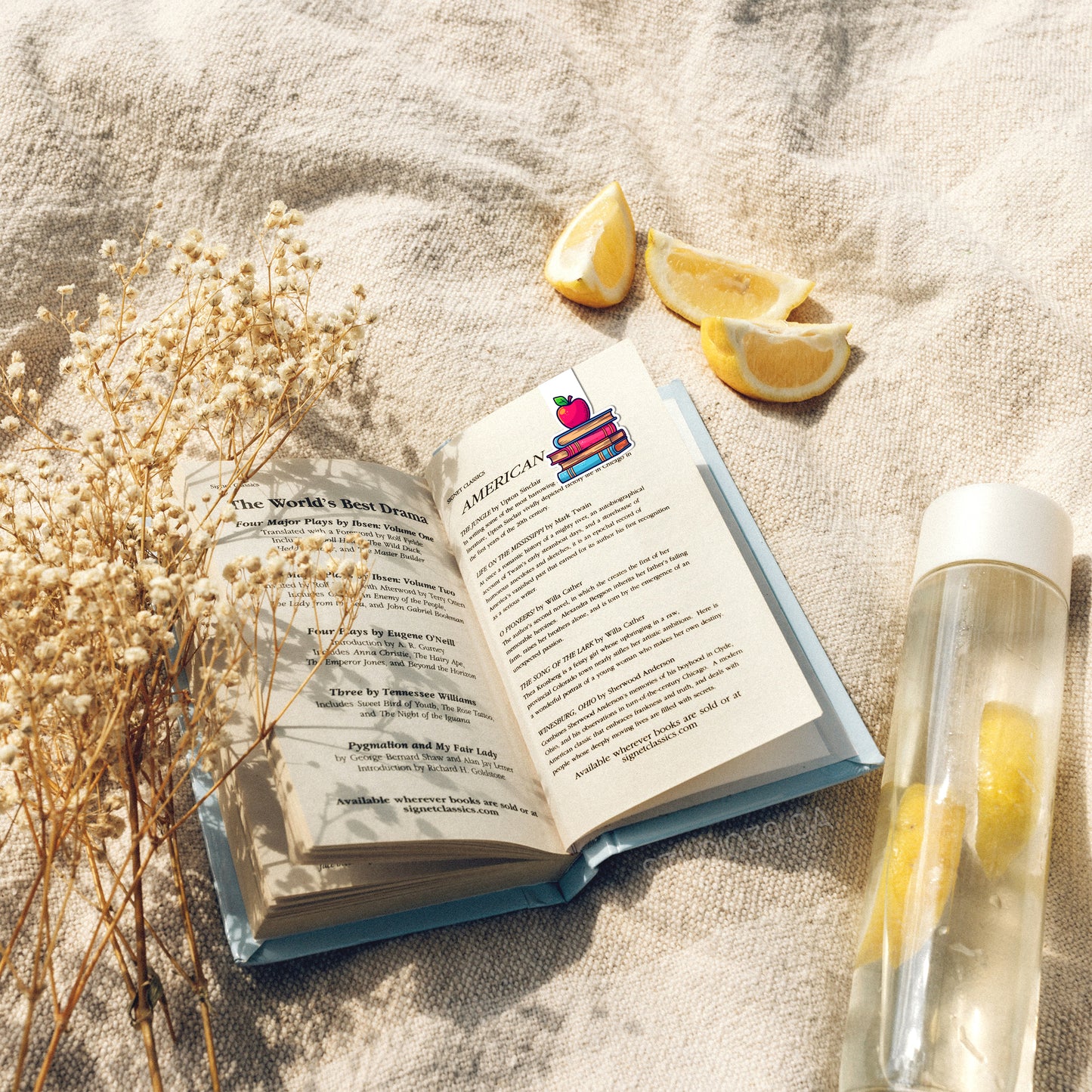 Books and Apple Magnetic Bookmark, Book Lovers Gift, Bookish Gift