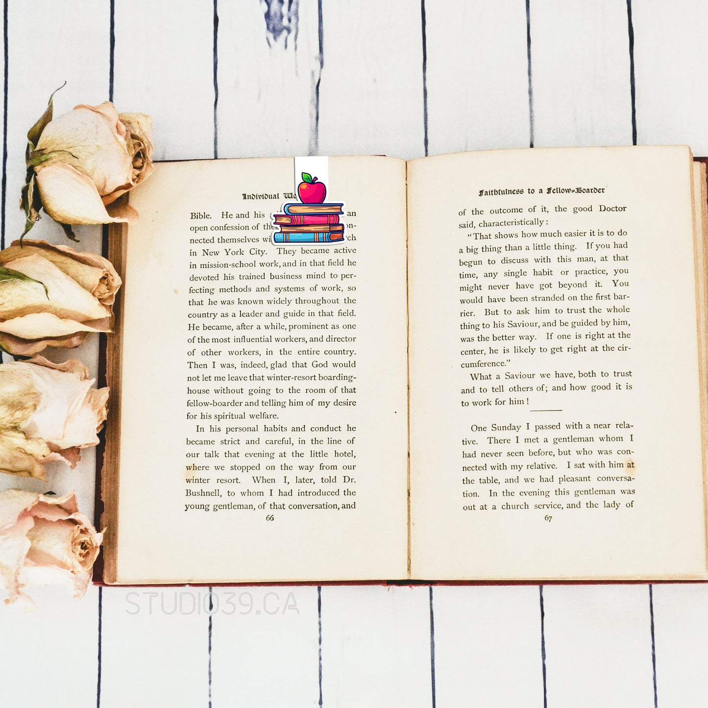 Books and Apple Magnetic Bookmark, Book Lovers Gift, Bookish Gift