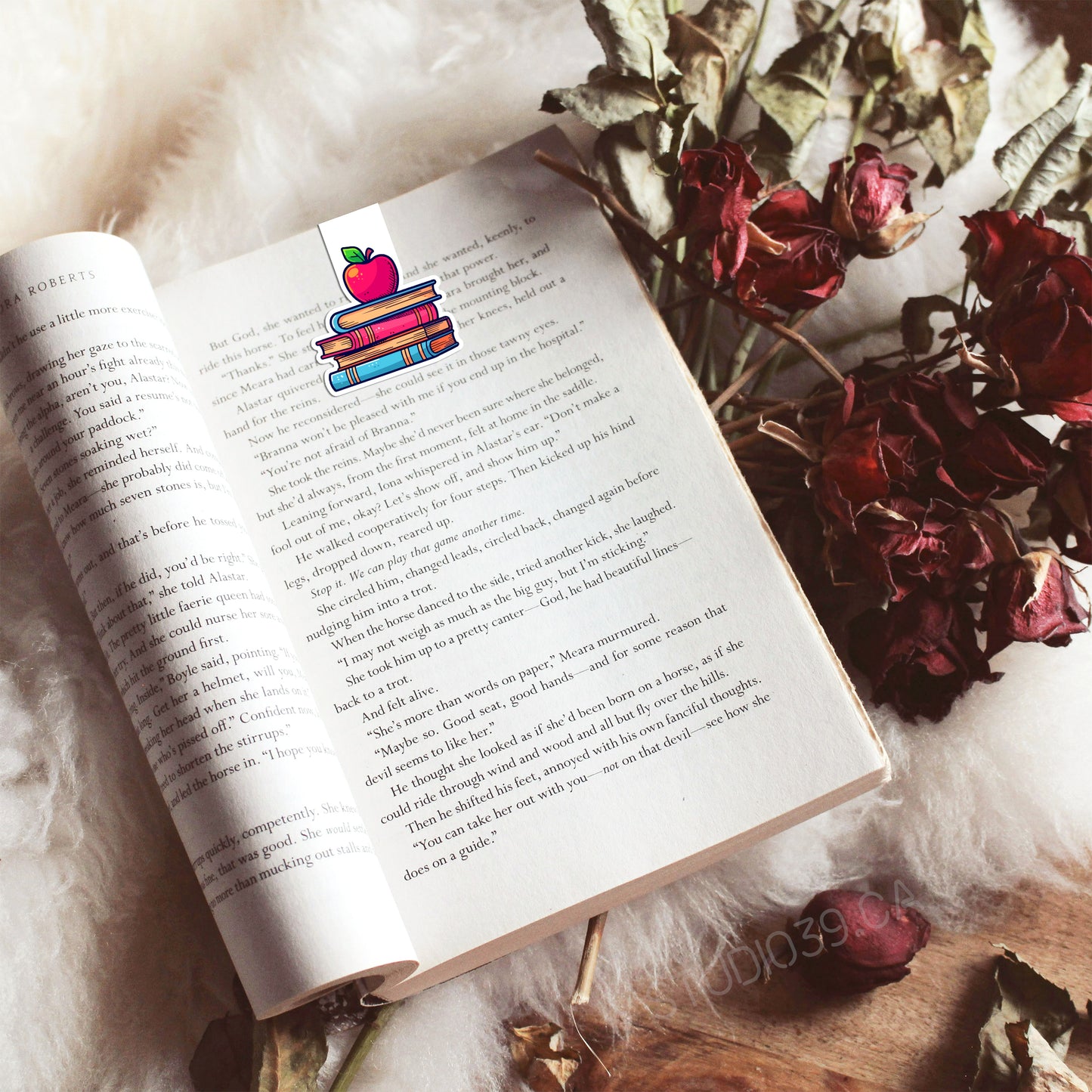 Books and Apple Magnetic Bookmark, Book Lovers Gift, Bookish Gift